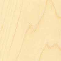 Maple Wood Sample